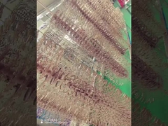 Titanium hợp kim Kính khung PVD lớp phủ máy