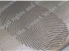 Hệ thống kim loại hóa chân không cao, đơn vị phủ bốc nhiệt để chụp hình dấu vân tay